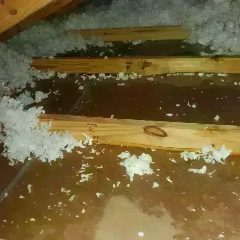 Attic Water Damage in Shenandoah Farms, VA