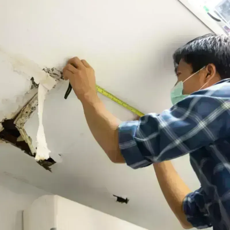 Ceiling And Wall Water Damage in Shenandoah Farms, VA